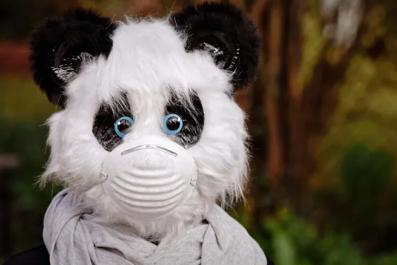 Unibet Kasino Podpora